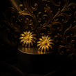 Fleur de Lumière